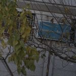 بیمه پارسیان کد519800