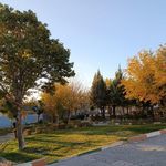 فضای سبز