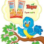 فروشگاه تانسو