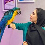 کلینیک دامپزشکی مرکزی(دکتر مریم حیدرلو)