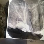 کلینیک دندانپزشکی نهال