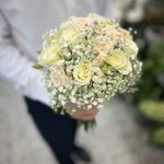 گل سفیر سبز