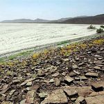 دریاچه و تالاب ارژن