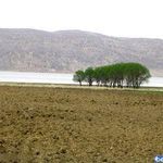 دریاچه و تالاب ارژن