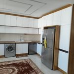 شاهین مرادی