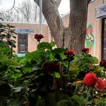 مجموعه رستوران کیکم