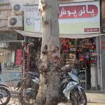 گالری تاپ