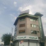 کفش محمود زاده