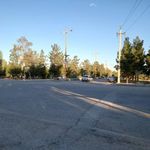 بوستان جنگلی غدیر
