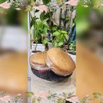 کیک تولد و کافی شاپی زبرجدیان