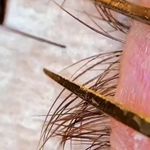 آموزش و خدمات مژه ساحل شهبازی