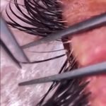 آموزش و خدمات مژه ساحل شهبازی