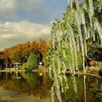 پارک لاله (بوستان لاله)