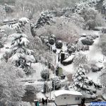 پارک لاله (بوستان لاله)