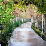 پارک لاله (بوستان لاله)