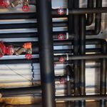 فرشید حق شناس