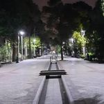 بوستان کاج (بوستان سهند)