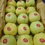 سردخانه آمونیاکی و سورتینگ ماندگار مهدی