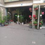 بازار گل تهران(سرمه بازار)