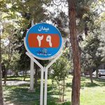میدان 36