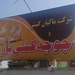 کارخانه پردیس جوجه کشی پارس 