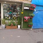 بازار گل تهران(سرمه بازار)