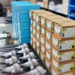 برق واتوماسیون رابوالکتریک