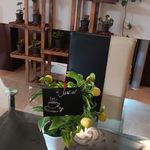 کافه بانوان