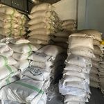 فروش برنج هاشمی  برنج طارم گرگان