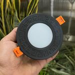 لاله زار الکتریک