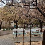 دانشکده حقوق   علوم سیاسی و زبان های خارجی دانشگاه آزاد اسلامی مشهد