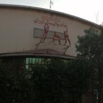 خانه والیبال