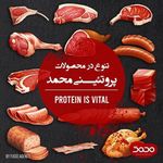 سوپر پروتئین محمد ششم