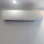 میعاد نجفی اصلی پاشاکی