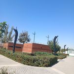 سرویس بهداشتی