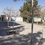 سرویس بهداشتی