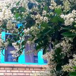 مهمانپذیر سلام تهران