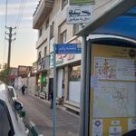 گیاهان دارویی گلها