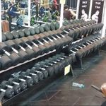 آکادمی تخصصی پرورش اندام تک تن