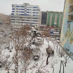 پارک لادن