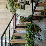 کافه و رستوران سعدآباد