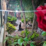 رستوران طبیعت