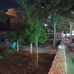 یاس دو