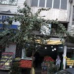 میوه فروشی مارگاریتا