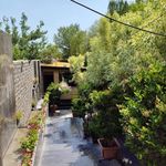 رستوران طبیعت