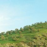 رشته کوه تمندر