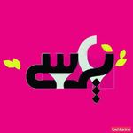 تهیه غذای پرسی