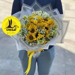 گل فروشی اینترنتی آمازون (منطقه 22)