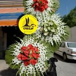 گل فروشی اینترنتی آمازون (منطقه 22)