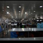 ایزابلا (تولید کننده انواع لباس زیر بانوان)